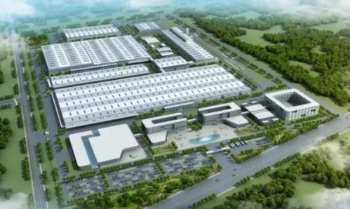 活力萊西 產業園區聯動與政務窗口齊轉，強化聯動提效率激活汽車銷售鏈