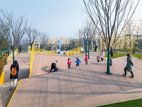 從設計到實景 公共環境園林景觀的全流程解析與行業交流平臺